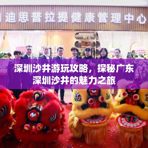 深圳沙井游玩攻略,探秘广东深圳沙井的魅力之旅