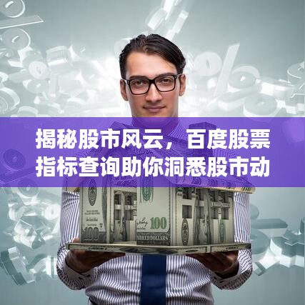 揭秘股市风云，百度股票指标查询助你洞悉股市动态