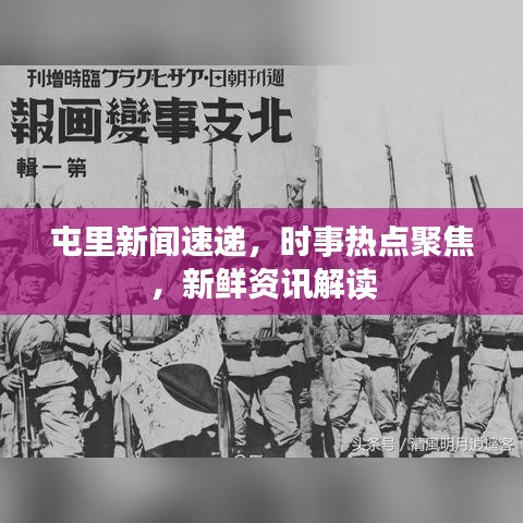 屯里新闻速递，时事热点聚焦，新鲜资讯解读