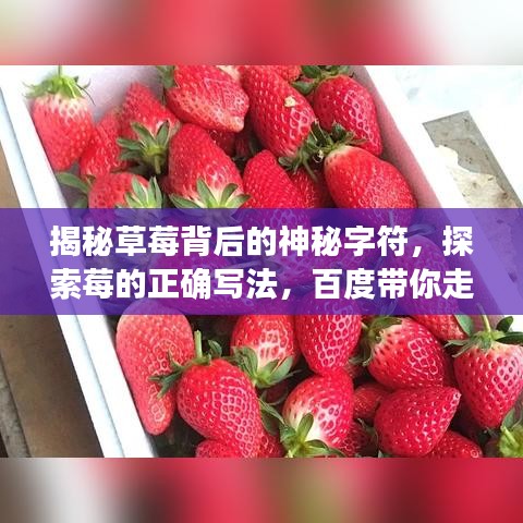 揭秘草莓背后的神秘字符，探索莓的正确写法，百度带你走进知识宝藏！