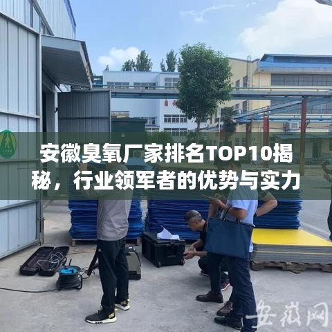 安徽臭氧厂家排名TOP10揭秘，行业领军者的优势与实力解析