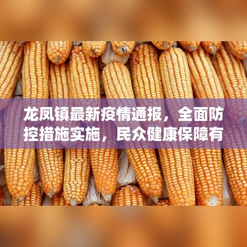 龙凤镇最新疫情通报,全面防控措施实施,民众健康保障有力