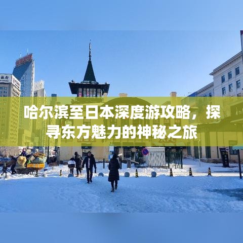 哈尔滨至日本深度游攻略，探寻东方魅力的神秘之旅