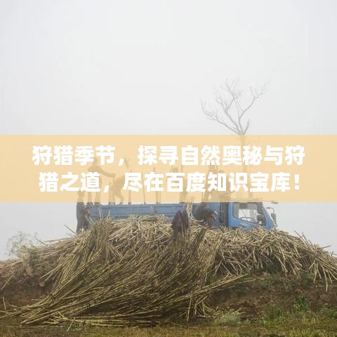 狩猎季节，探寻自然奥秘与狩猎之道，尽在百度知识宝库！