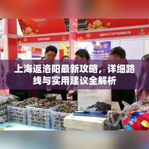 上海返洛阳最新攻略,详细路线与实用建议全解析