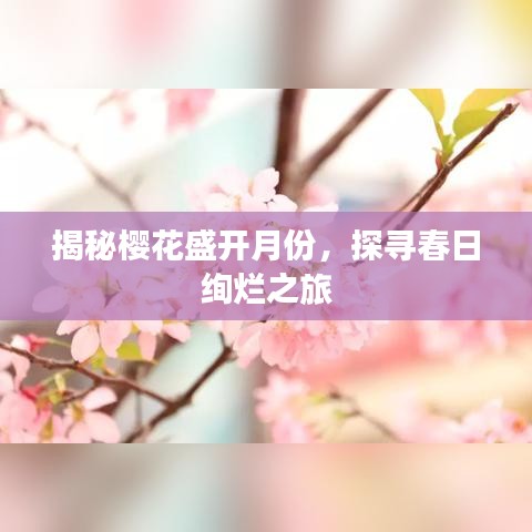 揭秘樱花盛开月份，探寻春日绚烂之旅