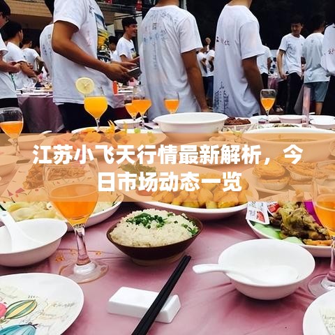 江苏小飞天行情最新解析，今日市场动态一览