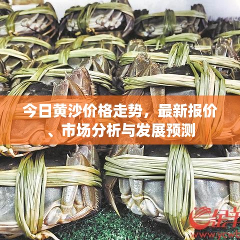 今日黄沙价格走势，最新报价、市场分析与发展预测