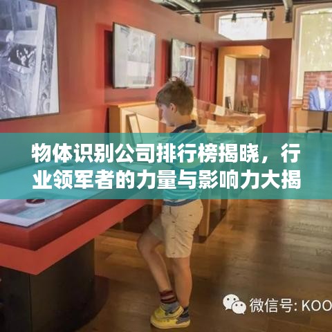 物体识别公司排行榜揭晓，行业领军者的力量与影响力大揭秘