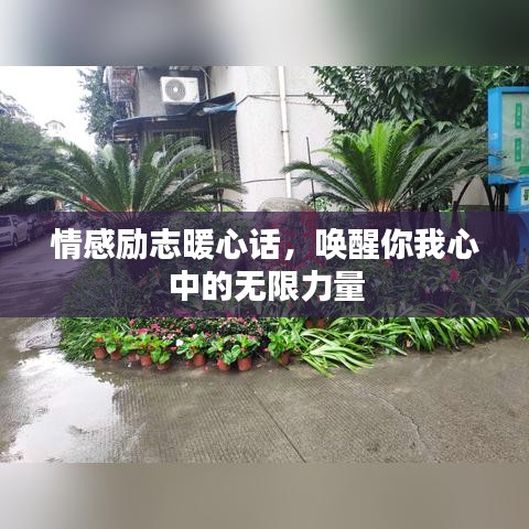 情感励志暖心话,唤醒你我心中的无限力量