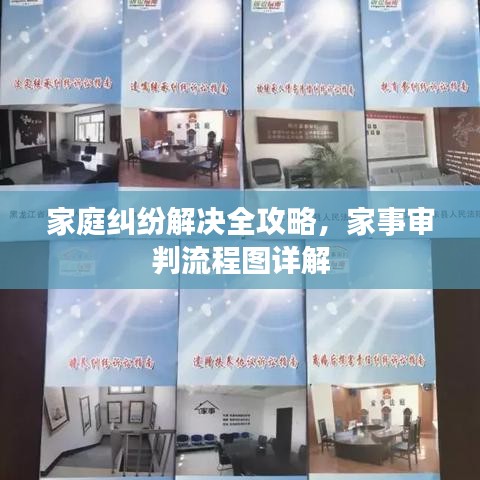 家庭纠纷解决全攻略，家事审判流程图详解