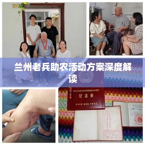 兰州老兵助农活动方案深度解读