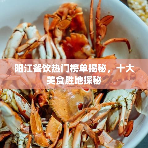 阳江餐饮热门榜单揭秘，十大美食胜地探秘