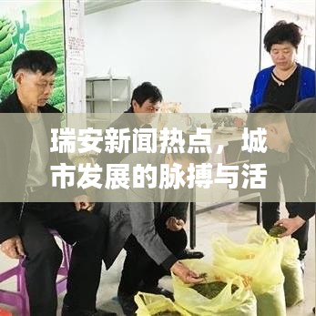 瑞安新闻热点，城市发展的脉搏与活力四溢的瑞安风采