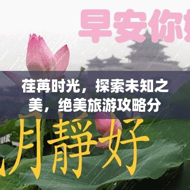 荏苒时光，探索未知之美，绝美旅游攻略分享