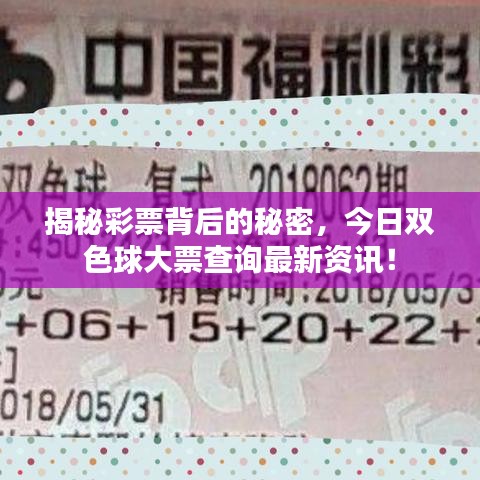 揭秘彩票背后的秘密，今日双色球大票查询最新资讯！