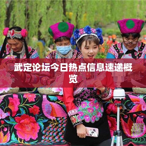 武定论坛今日热点信息速递概览