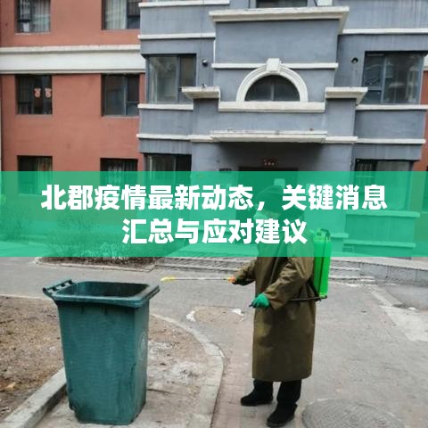 北郡疫情最新动态，关键消息汇总与应对建议