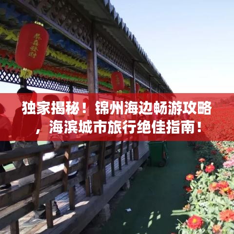 独家揭秘!锦州海边畅游攻略,海滨城市旅行绝佳指南!