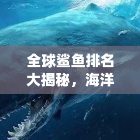 全球鲨鱼排名大揭秘，海洋霸主的震撼力量榜单