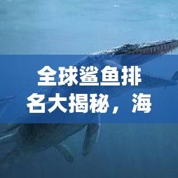 全球鲨鱼排名大揭秘,海洋霸主的震撼力量榜单