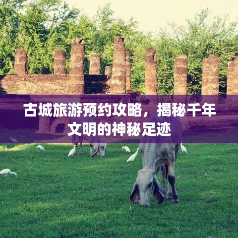 古城旅游预约攻略，揭秘千年文明的神秘足迹
