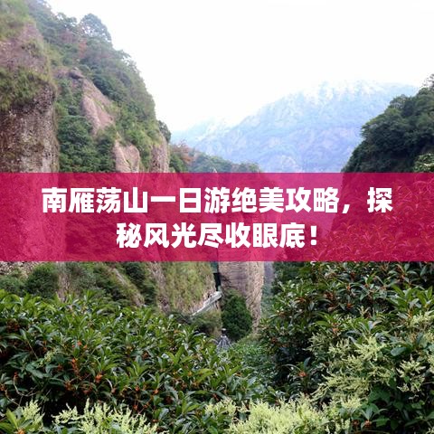 南雁荡山一日游绝美攻略，探秘风光尽收眼底！