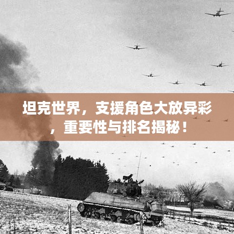 坦克世界，支援角色大放异彩，重要性与排名揭秘！