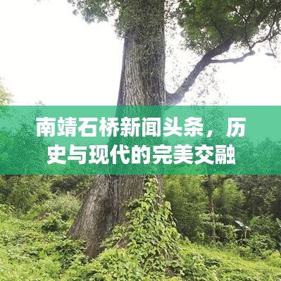 南靖石桥新闻头条,历史与现代的完美交融