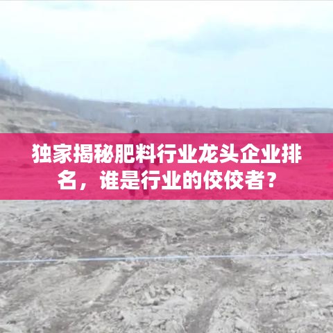 独家揭秘肥料行业龙头企业排名，谁是行业的佼佼者？