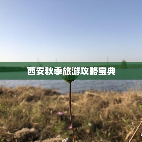 西安秋季旅游攻略宝典