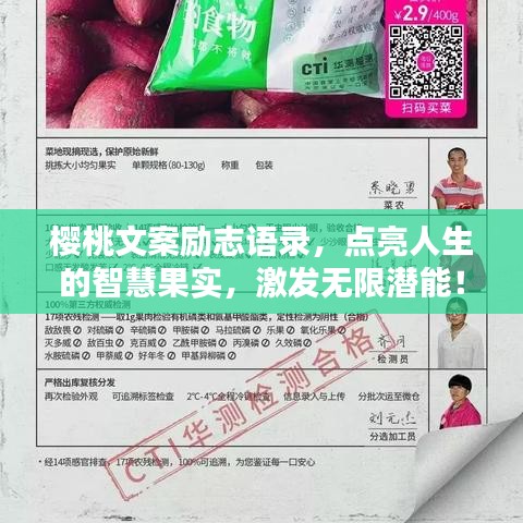 樱桃文案励志语录，点亮人生的智慧果实，激发无限潜能！