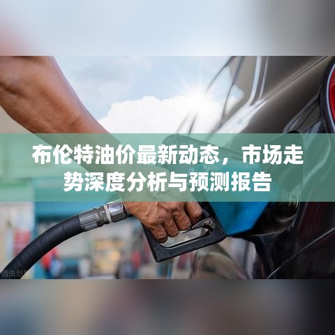 布伦特油价最新动态，市场走势深度分析与预测报告