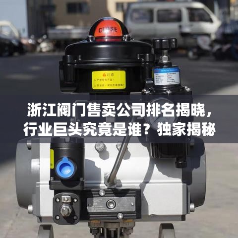 浙江阀门售卖公司排名揭晓，行业巨头究竟是谁？独家揭秘！