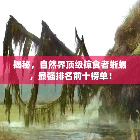 揭秘，自然界顶级掠食者蜥蜴，最强排名前十榜单！