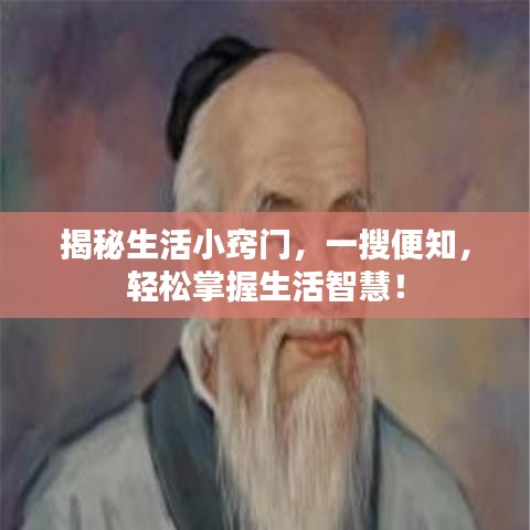 揭秘生活小窍门，一搜便知，轻松掌握生活智慧！
