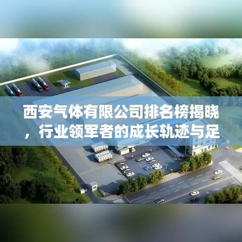西安气体有限公司排名榜揭晓，行业领军者的成长轨迹与足迹探索