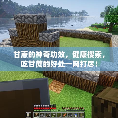 甘蔗的神奇功效，健康搜索，吃甘蔗的好处一网打尽！