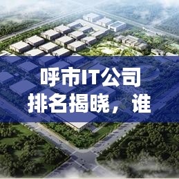 呼市IT公司排名揭晓，谁是行业领头羊？