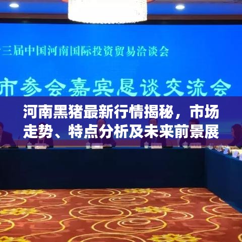 河南黑猪最新行情揭秘,市场走势、特点分析及未来前景展望