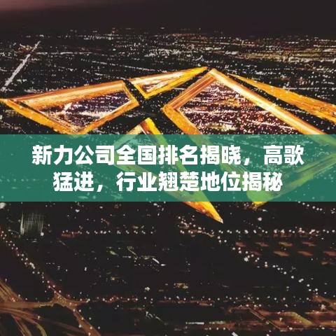 新力公司全国排名揭晓，高歌猛进，行业翘楚地位揭秘
