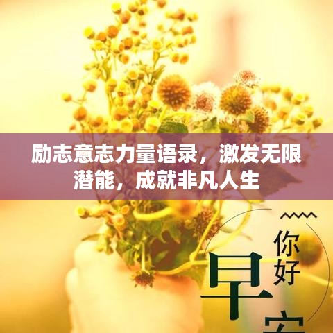 励志意志力量语录，激发无限潜能，成就非凡人生