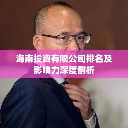 海南投资有限公司排名及影响力深度剖析