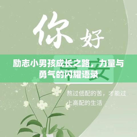 励志小男孩成长之路，力量与勇气的闪耀语录
