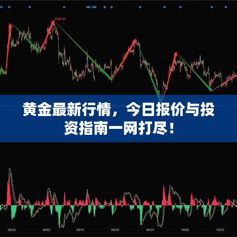 黄金最新行情,今日报价与投资指南一网打尽!