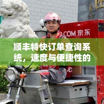 顺丰特快订单查询系统，速度与便捷性的极致融合