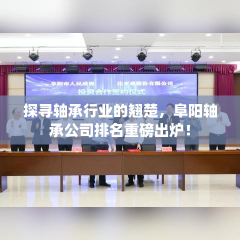 探寻轴承行业的翘楚，阜阳轴承公司排名重磅出炉！