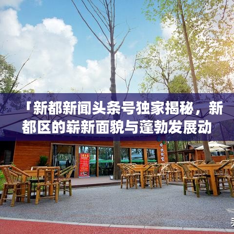 「新都新闻头条号独家揭秘，新都区的崭新面貌与蓬勃发展动态」