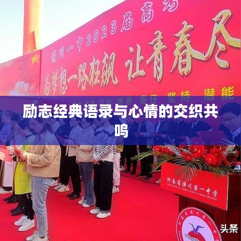 励志经典语录与心情的交织共鸣