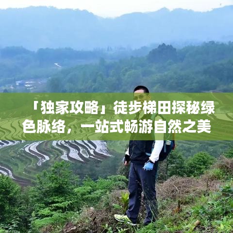 「独家攻略」徒步梯田探秘绿色脉络，一站式畅游自然之美
